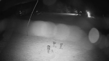 Snímek    1.11.2025 v 01:20