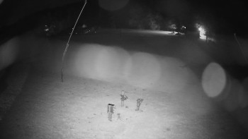 Snímek    1.11.2025 v 04:00