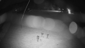 Snímek    1.11.2025 v 04:25