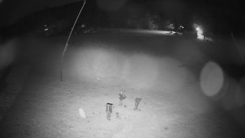 Snímek    1.11.2025 v 05:30