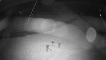 Snímek    2.11.2025 v 20:00