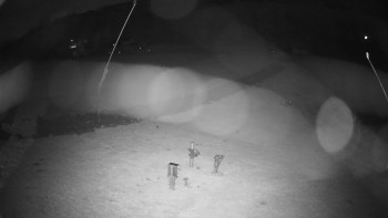 Snímek    2.11.2025 v 21:55