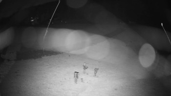 Snímek    2.11.2025 v 22:25