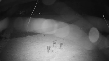 Snímek    2.11.2025 v 23:05