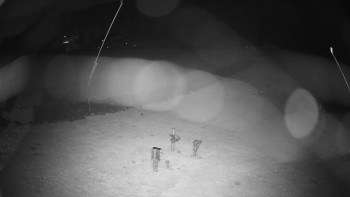 Snímek    2.11.2025 v 23:20