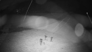 Snímek    3.11.2025 v 00:25