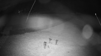 Snímek    3.11.2025 v 00:30