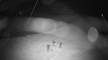 Snímek    3.11.2025 v 00:40