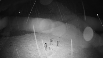 Snímek    3.11.2025 v 00:50