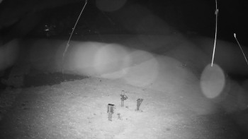 Snímek    3.11.2025 v 00:55