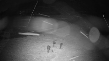 Snímek    3.11.2025 v 01:05