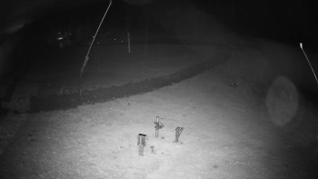 Snímek    3.11.2025 v 01:50