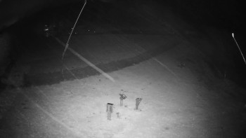 Snímek    3.11.2025 v 02:25