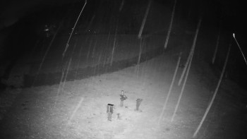 Snímek    3.11.2025 v 02:35