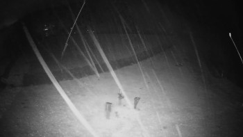 Snímek    3.11.2025 v 02:50