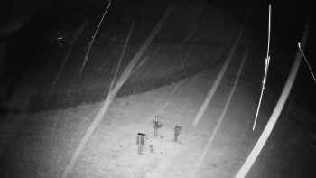 Snímek    3.11.2025 v 03:20