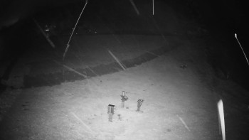 Snímek    3.11.2025 v 03:25