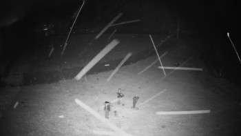 Snímek    3.11.2025 v 03:30