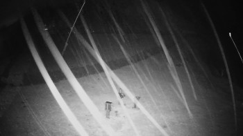 Snímek    3.11.2025 v 03:55