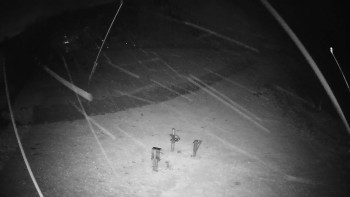 Snímek    3.11.2025 v 04:35