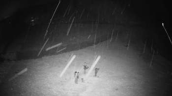 Snímek    3.11.2025 v 04:50