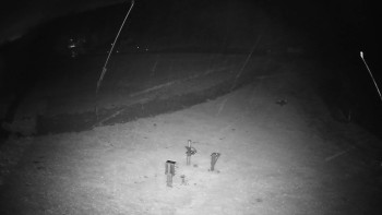 Snímek    3.11.2025 v 05:25