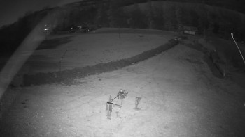 Snímek 6.11.2025 v 04:50