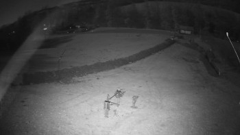 Snímek 6.11.2025 v 04:55