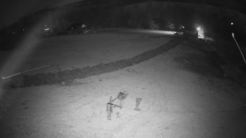 Snímek 6.11.2025 v 19:45