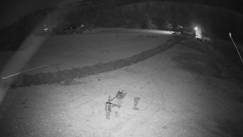 Snímek 7.11.2025 v 00:45