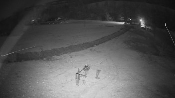 Snímek 7.11.2025 v 00:50