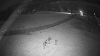 Snímek 7.11.2025 v 02:55