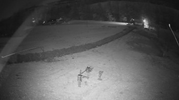 Snímek 7.11.2025 v 03:05