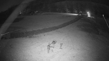 Snímek 7.11.2025 v 04:55