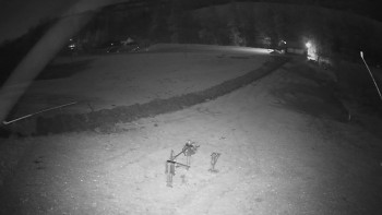 Snímek 7.11.2025 v 05:20