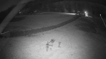 Snímek 7.11.2025 v 05:25