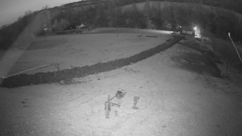 Snímek 7.11.2025 v 06:00