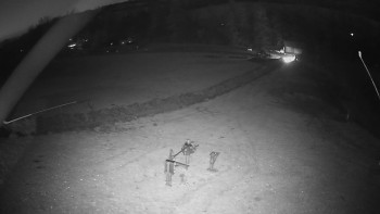 Snímek 7.11.2025 v 17:20