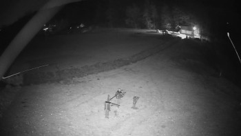 Snímek 7.11.2025 v 18:10