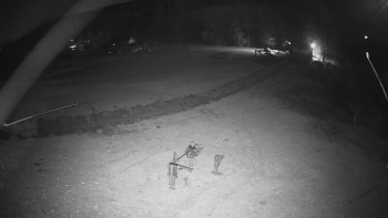 Snímek 7.11.2025 v 19:10