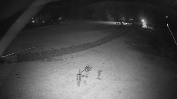 Snímek 7.11.2025 v 19:40