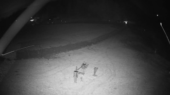 Snímek 8.11.2025 v 17:45