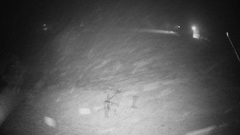 Snímek 17.11.2025 v 04:05