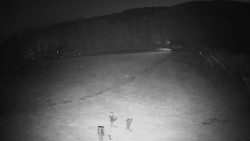Children's ski lift