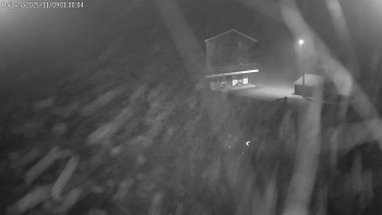 Snímek 9.11.2025 v 01:00