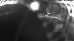 Lyžařská škola a dětské hřiště