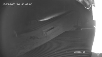 Snímek    25.10.2025 v 05:00