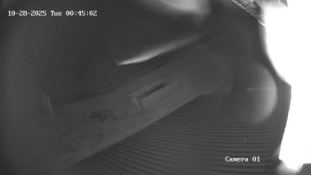 Snímek    27.10.2025 v 23:45