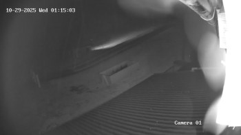 Snímek    29.10.2025 v 00:15