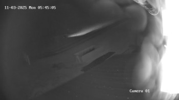 Snímek    3.11.2025 v 04:45